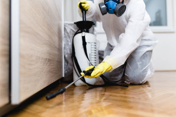 Best Pest Control for Homes  in Harbor Springs, MI