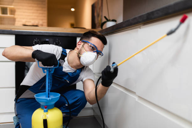 Best Affordable Pest Control Services  in Harbor Springs, MI