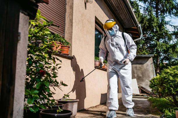 Best Flea Control Services  in Harbor Springs, MI