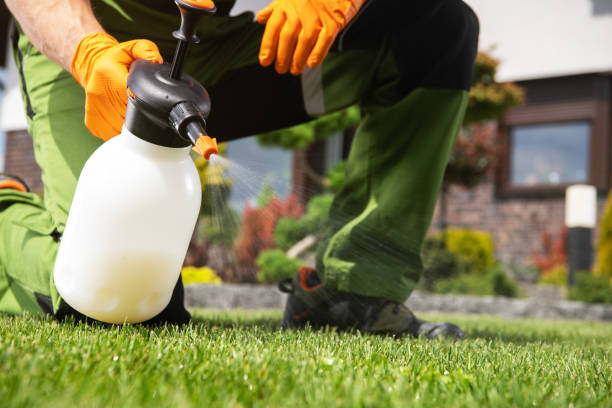 Best Best Pest Control Companies  in Harbor Springs, MI