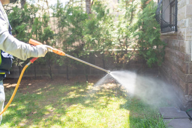 Best Pest Prevention Services  in Harbor Springs, MI