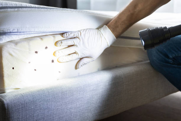 Best Bed Bug Extermination  in Harbor Springs, MI