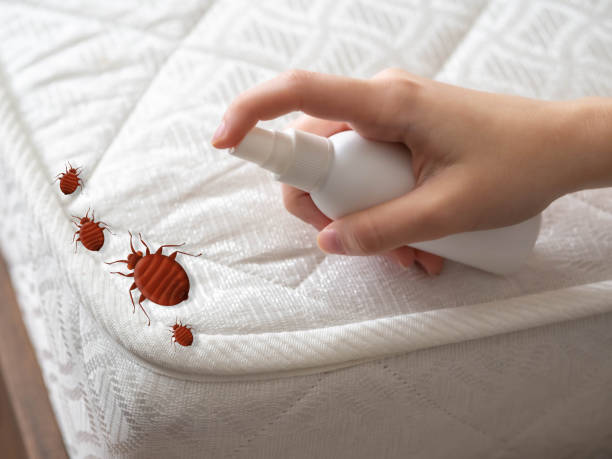 Best Pest Removal Services  in Harbor Springs, MI