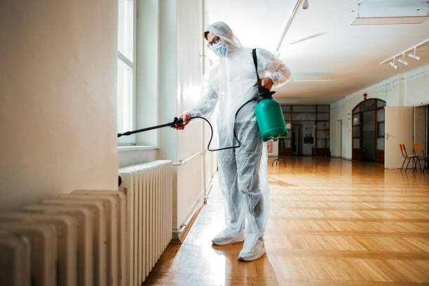 Best Affordable Pest Control Services  in Harbor Springs, MI