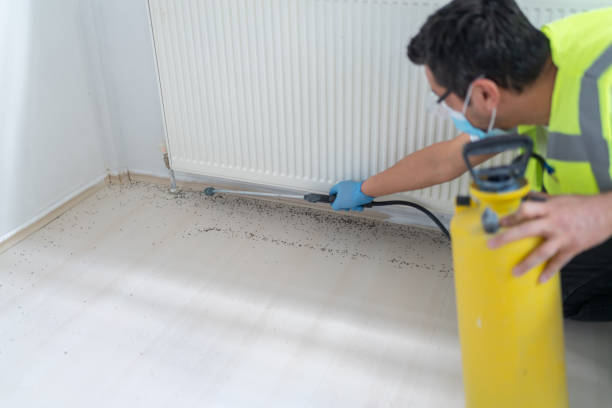 Best Emergency Pest Control  in Harbor Springs, MI