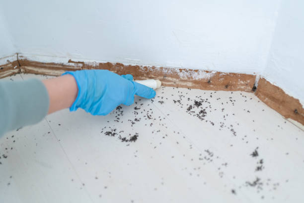 Best Exterminator Services  in Harbor Springs, MI