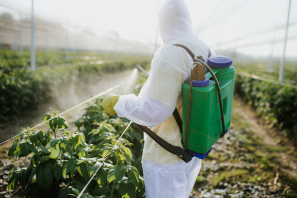 Best Bed Bug Extermination  in Harbor Springs, MI